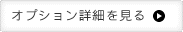 オプション詳細